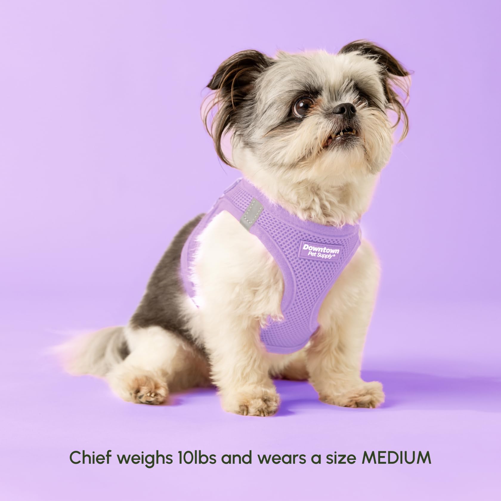 Downtown Pet Supply Step In Dog Harness For Large Dogs - Adjustable, Escape Proof Dog Harness With Reflective Trim - All-Weather