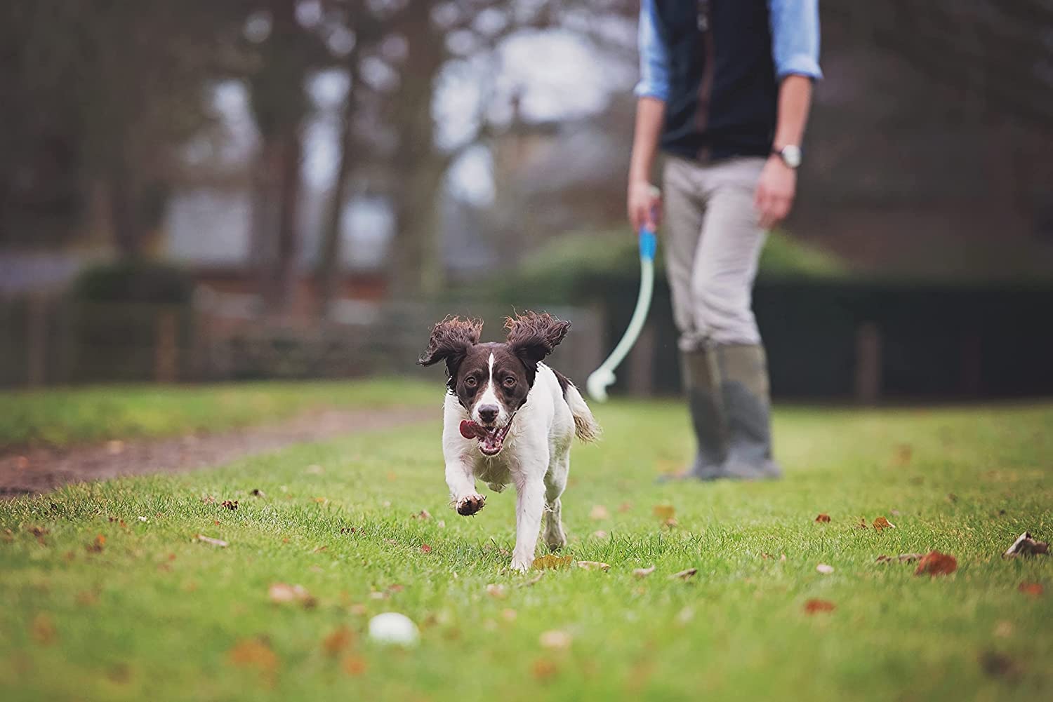 Chuckit! Glow In The Dark Bouncy Balls - Ball For Dogs, Chuckit Dog Toy, Max Glow Balls - Medium, 2.5 Inch, Pack Of 4