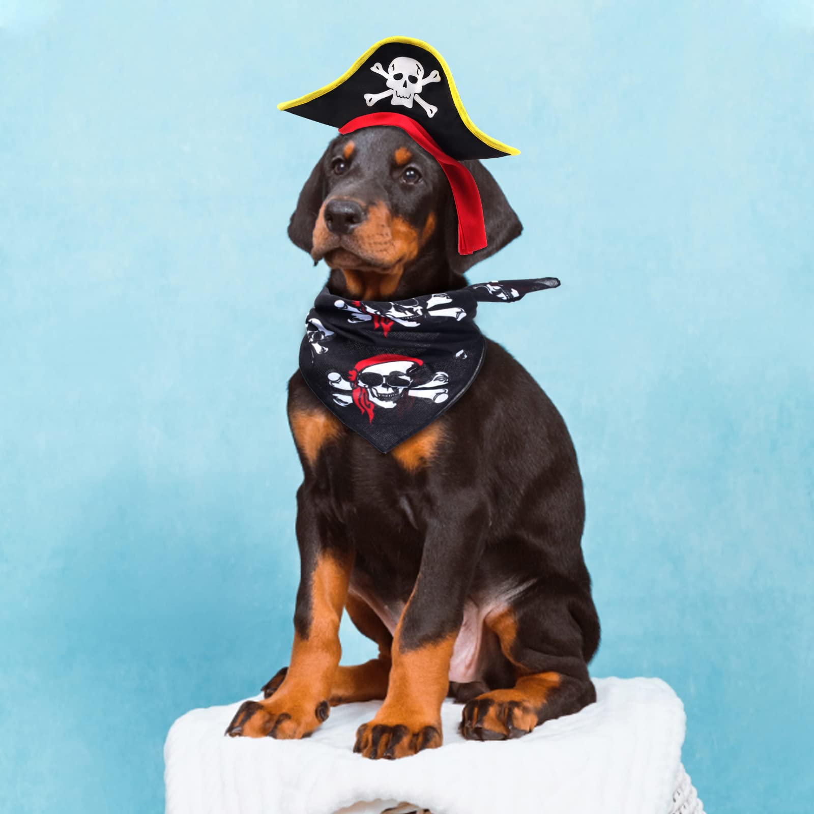 Aichiyu 2 Pieces Skull Print Pet Pirate Hat With Pirate Skull Bandana Dog Cat Captain Cap Halloween Pirate Cosplay Costume Halloween Party Hat Dress Up Costume Accessories (B) One Size