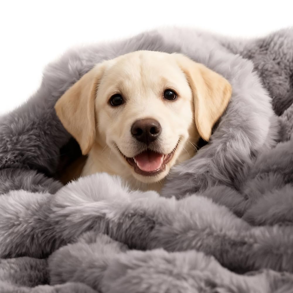 SOMAHE Dog Blanket Self-Warming Throw for Medium & Large Dogs, Dual-Side Sherpa Plush, Thick Crate Bed Cover & Car Seat Mat, Ant