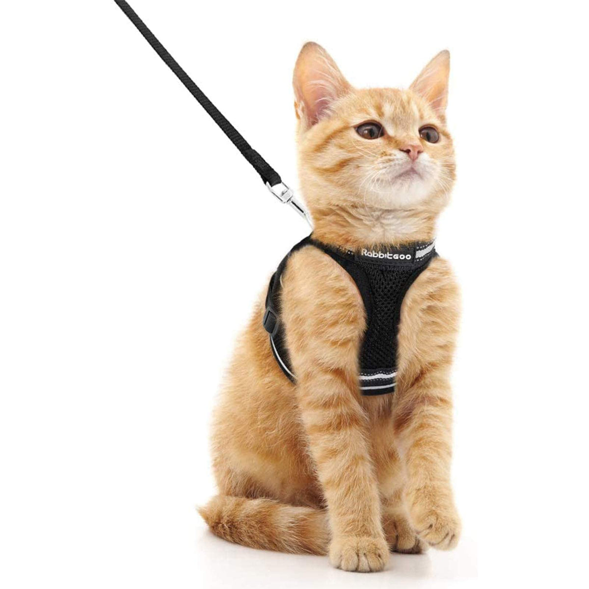 Rabbitgoo Cat Harness And Leash Set For Walking Escape Proof, Adjustable Soft Kittens Vest With Reflective Strip For Cats, Comfortable Outdoor Vest, Black, M