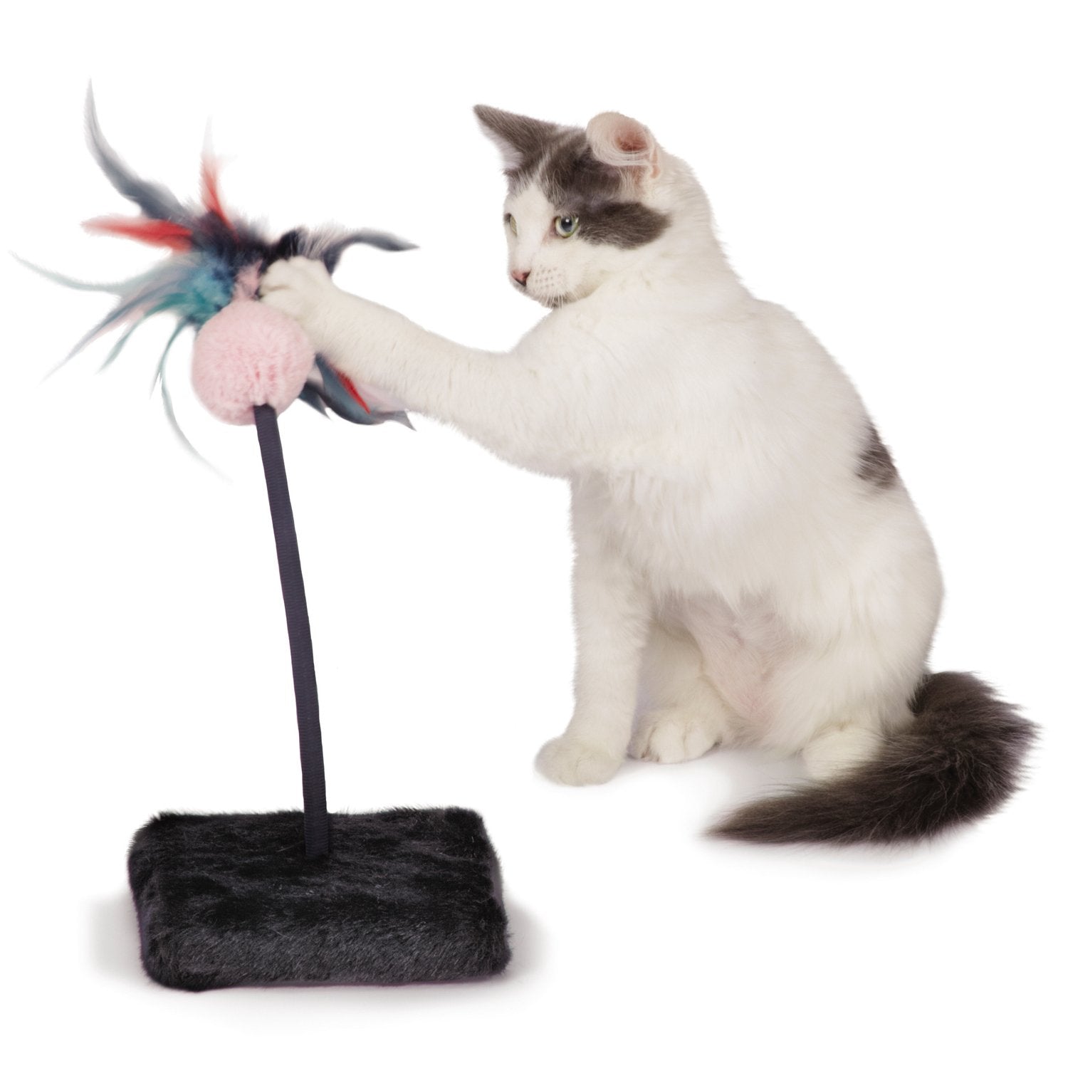 Cat Is Good Chirping Teaser Cat Toys