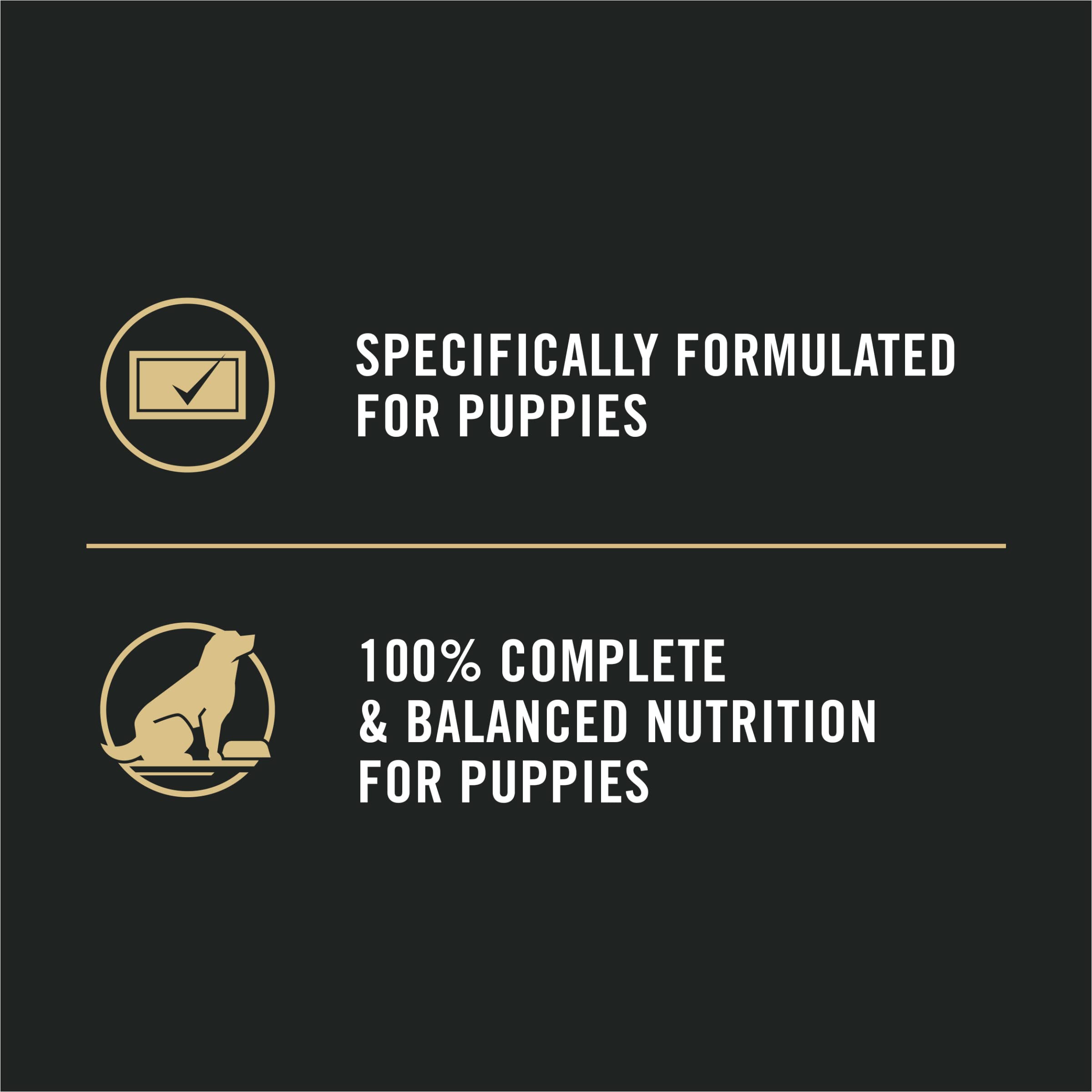 Purina Pro Plan Sport High Protein Puppy Food Chicken and Rice Entree Wet Formula - (Pack of 12) 13 oz. Cans