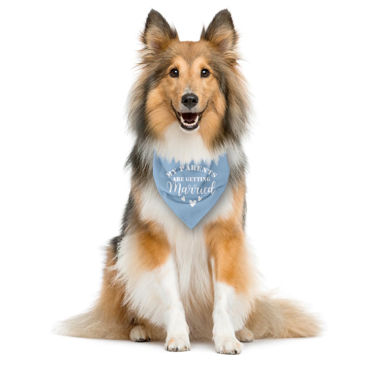 Zpprjf My Parents Are Getting Married Dog Bandana, Baby Blue Dog Bandana, Dog Wedding Bandana, Dog Engagement Bandana, Pet Dog S