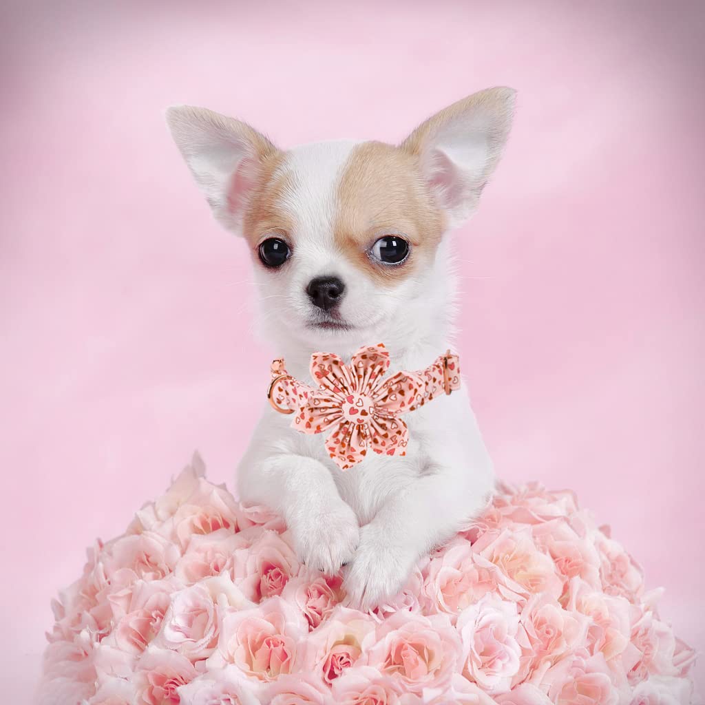 Elegant Little Tail Valentine 'S Heart Dog Collar, Cute Detachable Dog Collar With Flower, Gift Pet Collar Adjustable Dog Collar