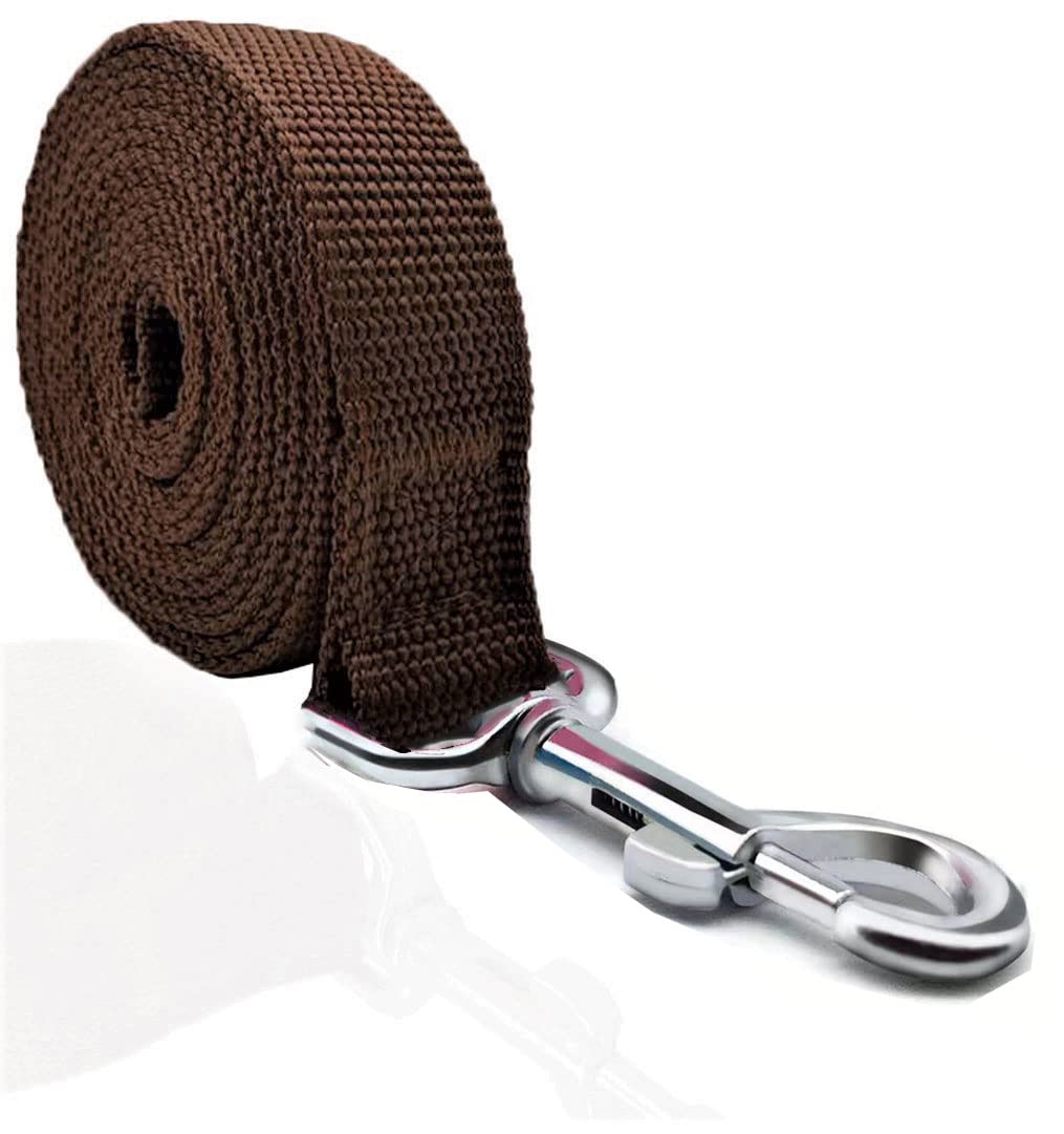 Taian 4Ft/5Ft/6Ft Strong Dog Leash, Nylon Dog Leashes For Small Medium Large Dogs (Brown, 1 In X 15 Ft)