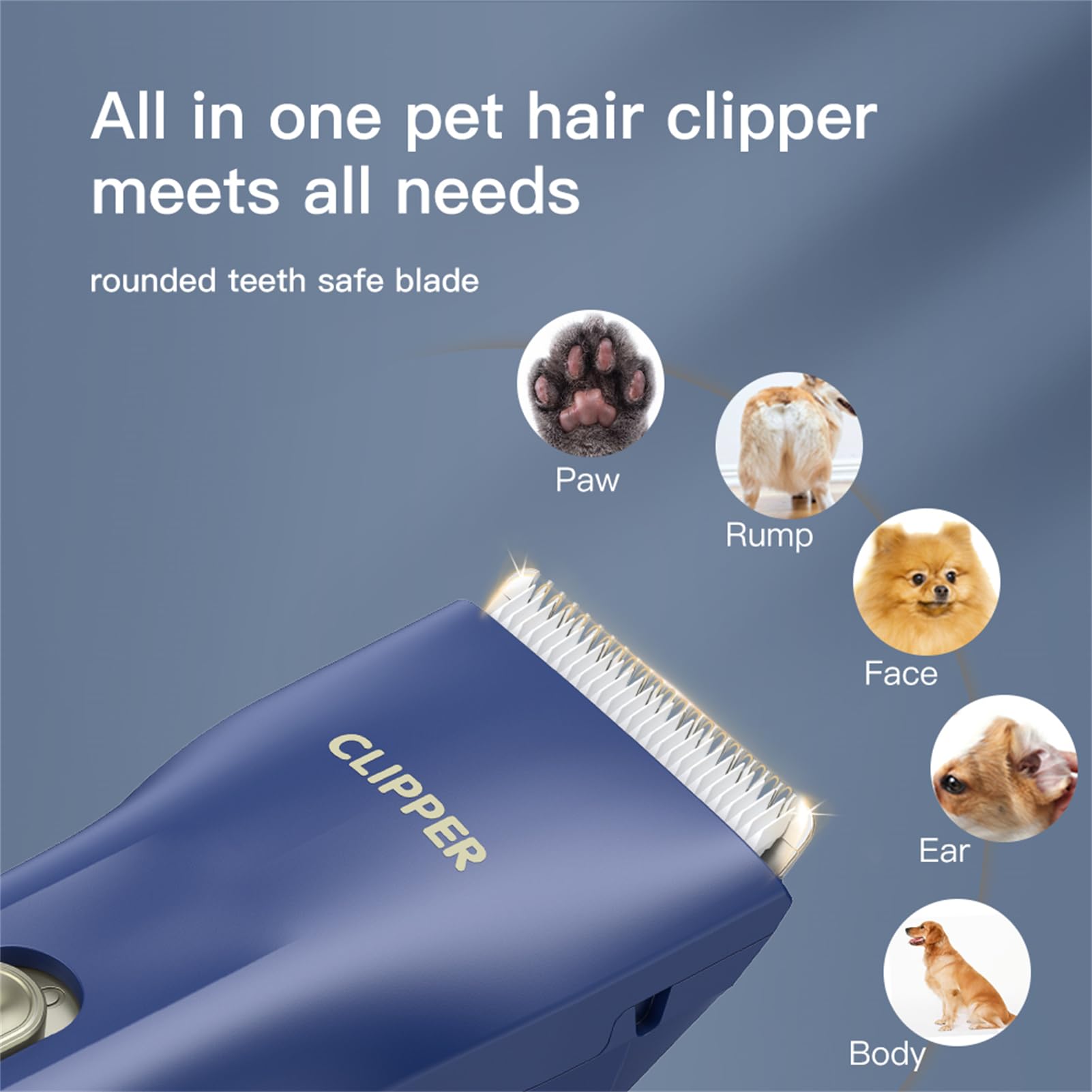 Founouly 2 In 1 Prowerful Home Professional Dog Grooming Kit Clipper Low Noise Usb Rechargeable Gifts For Dog Cat Blue,Mts006