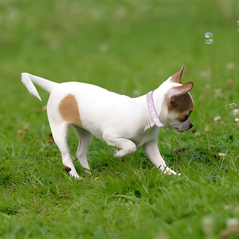 Girl Dog Collars For Medium Dogs,Black Rhinestone Dog Collars Bling Diamond Cute Sparkly Jewelry Cat Collar For Xs Small Medium