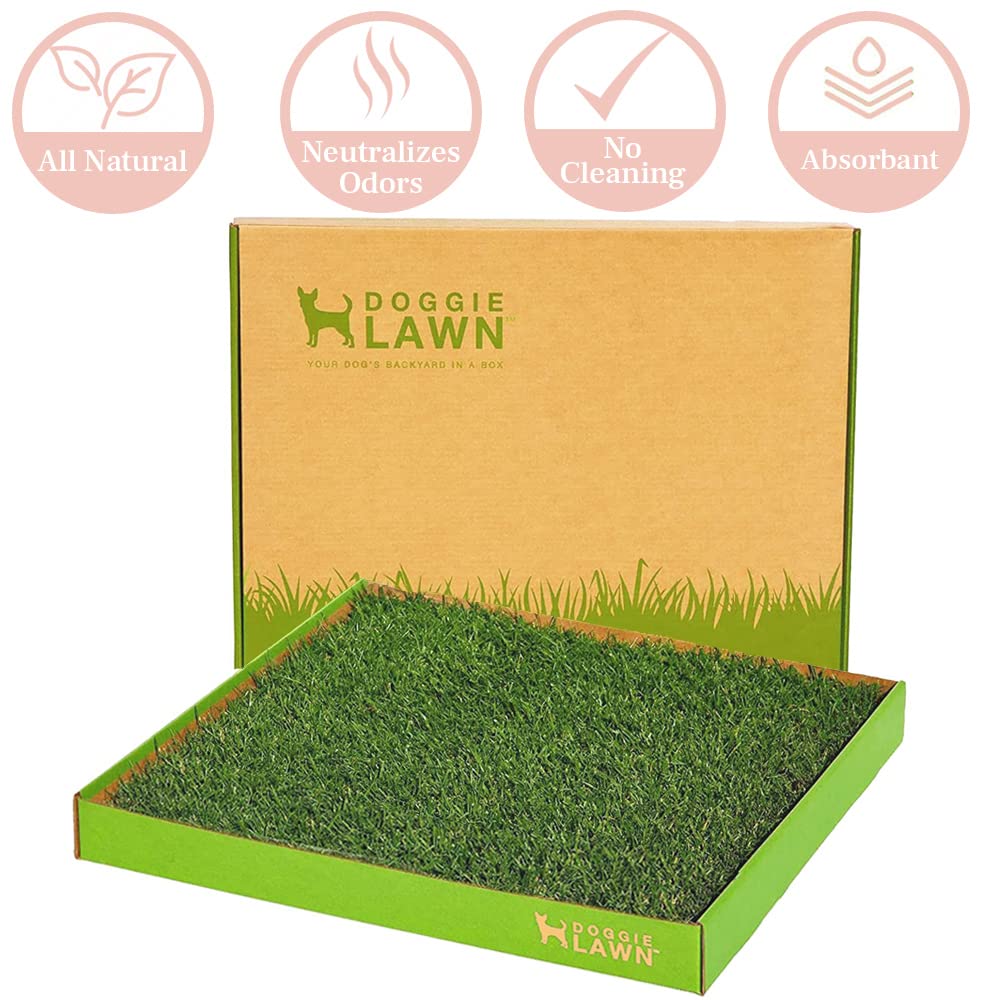 Doggielawn Real Grass Puppy Pee Pads- 24 X 24 Inches - Perfect Indoor Litter Box For Dogs - No Mess, Easy-To-Use - Potty Training For Pets - Eco-Friendly Disposable Bathroom With Real Living Grass