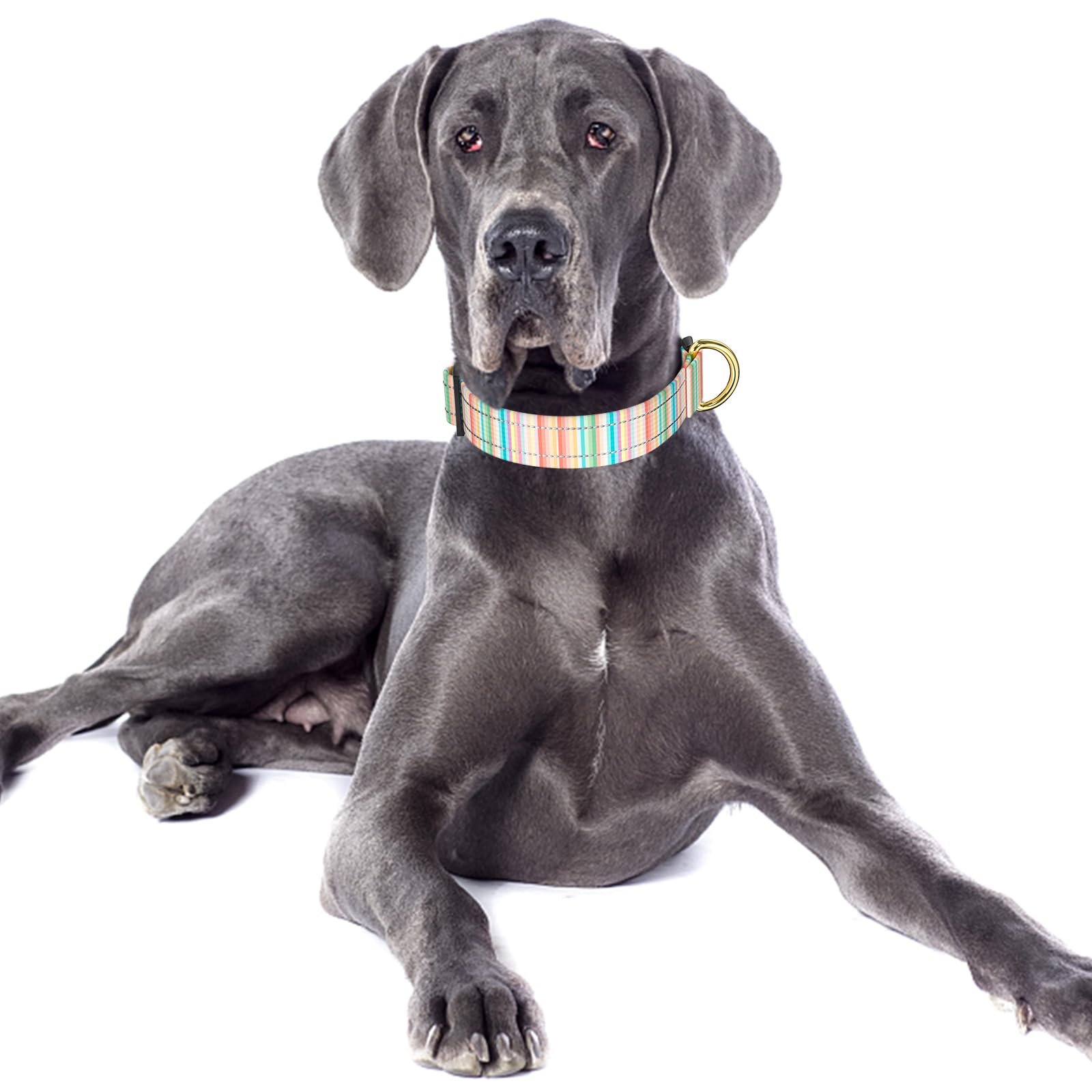 Tmoodel Reflective Dog Collar, Cute Dog Collar For Large Dogs, Soft Nylon Puppy Collar For Boy And Girl Female Dogs, Adjustable