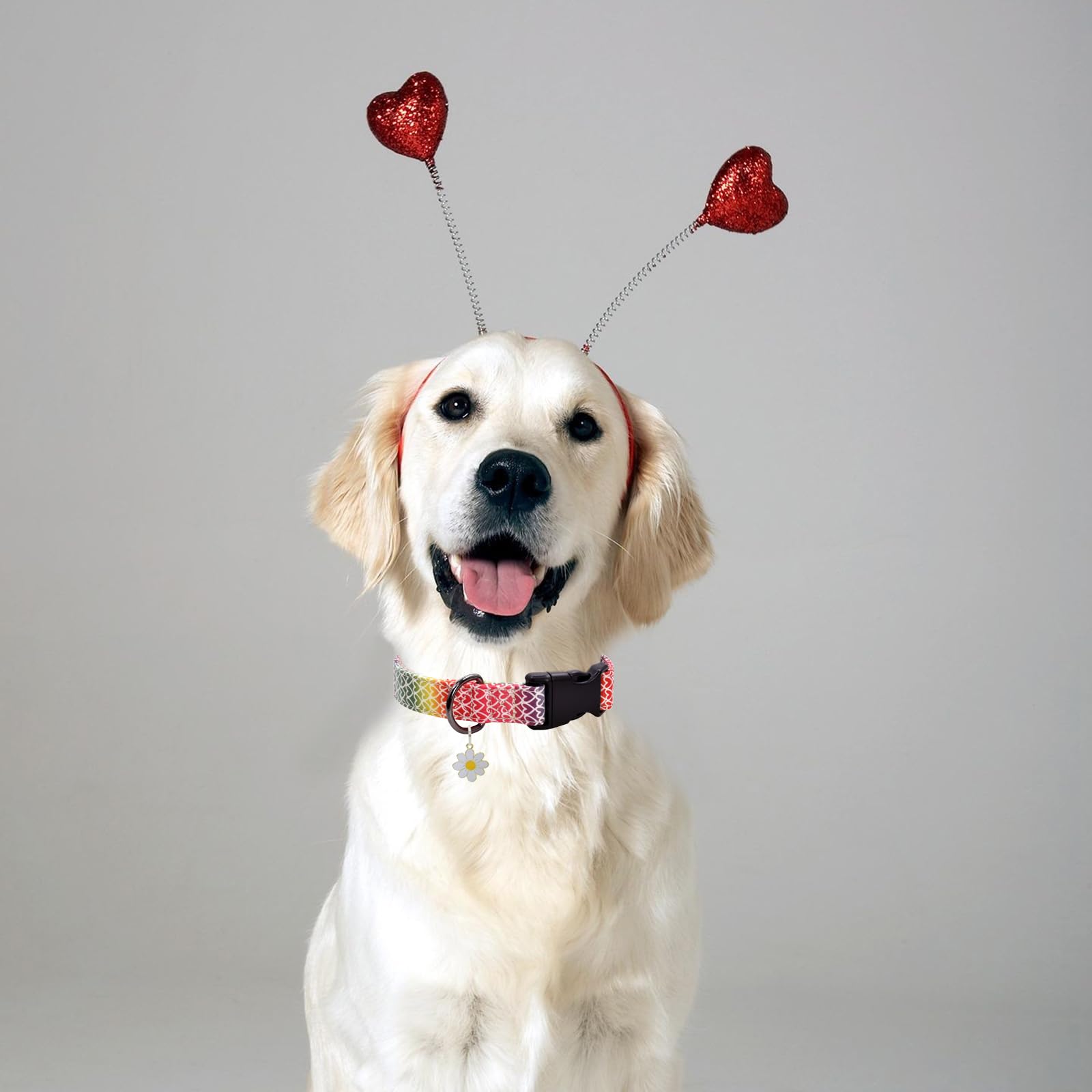 Colorful Heart Dog Collar With Pendant, Durable And Soft Cotton Dog Collars For Small Large Female And Male Dogs Pets(Heart L)
