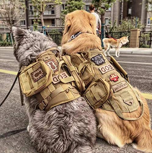 Antrix 2 Pcs Service Dog Not All Disabilities Are Visible Hook & Loop Emblem Badge Patch For Medium And Large Dog Vests/Harnesses