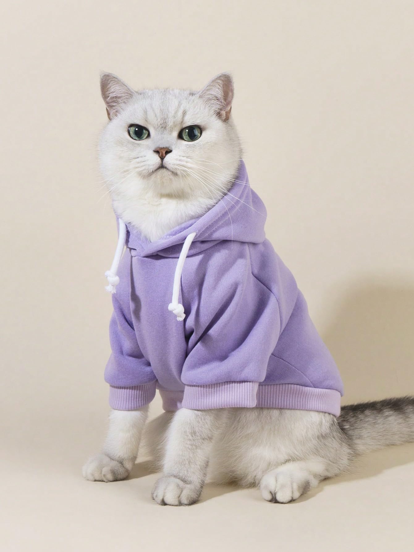 QWINEE Basic Dog Hoodie, Dog Warm Jacket, Cat Apparel, Dog Shirt, Dog Clothes for Puppy Kitten Small Medium Dogs Cats Mauve Purp