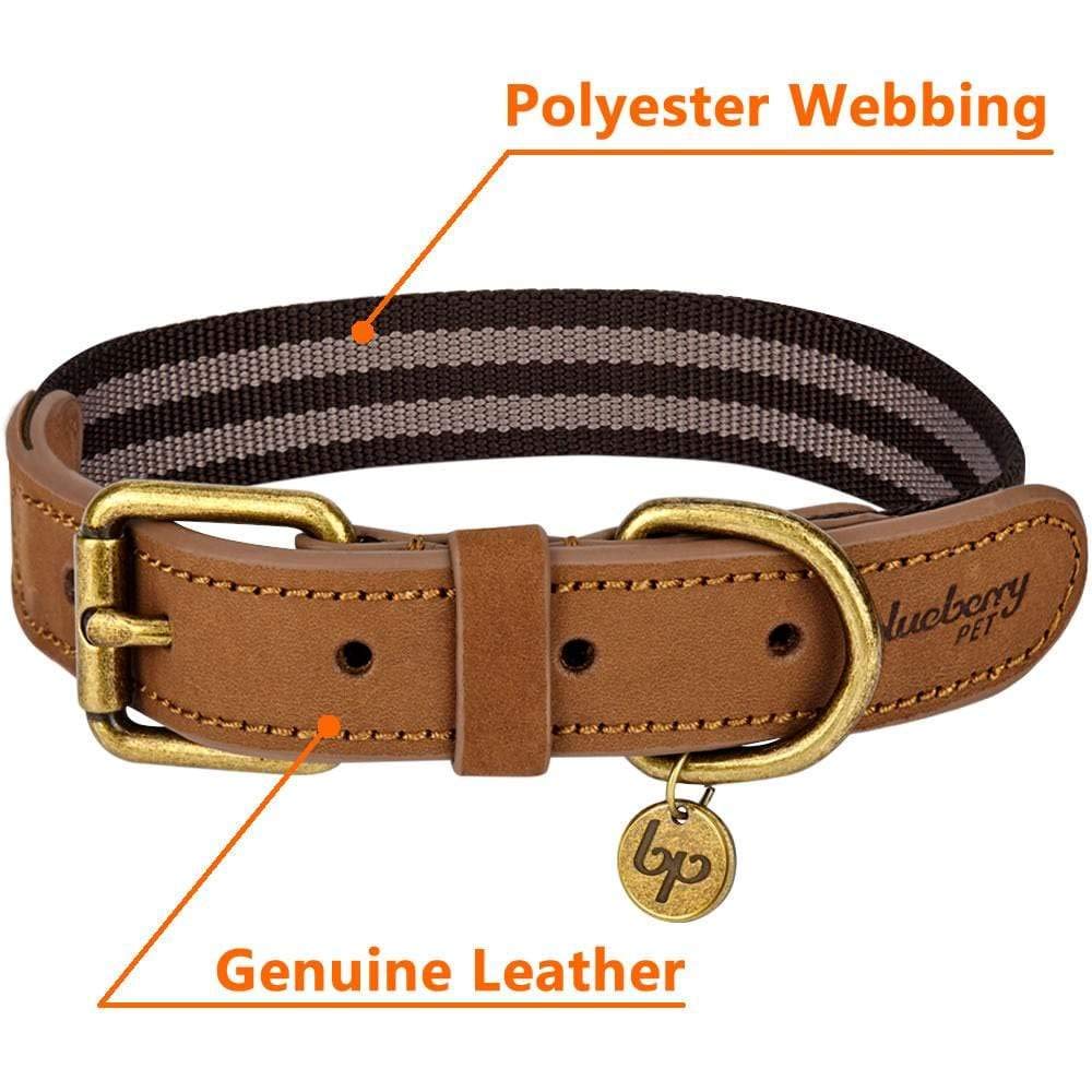 Blueberry Pet Soft & Comfy Leather Dog Collar - Adjustable Dog Collars For Small Dogs, Genuine Leather Collar For Dogs, Classic