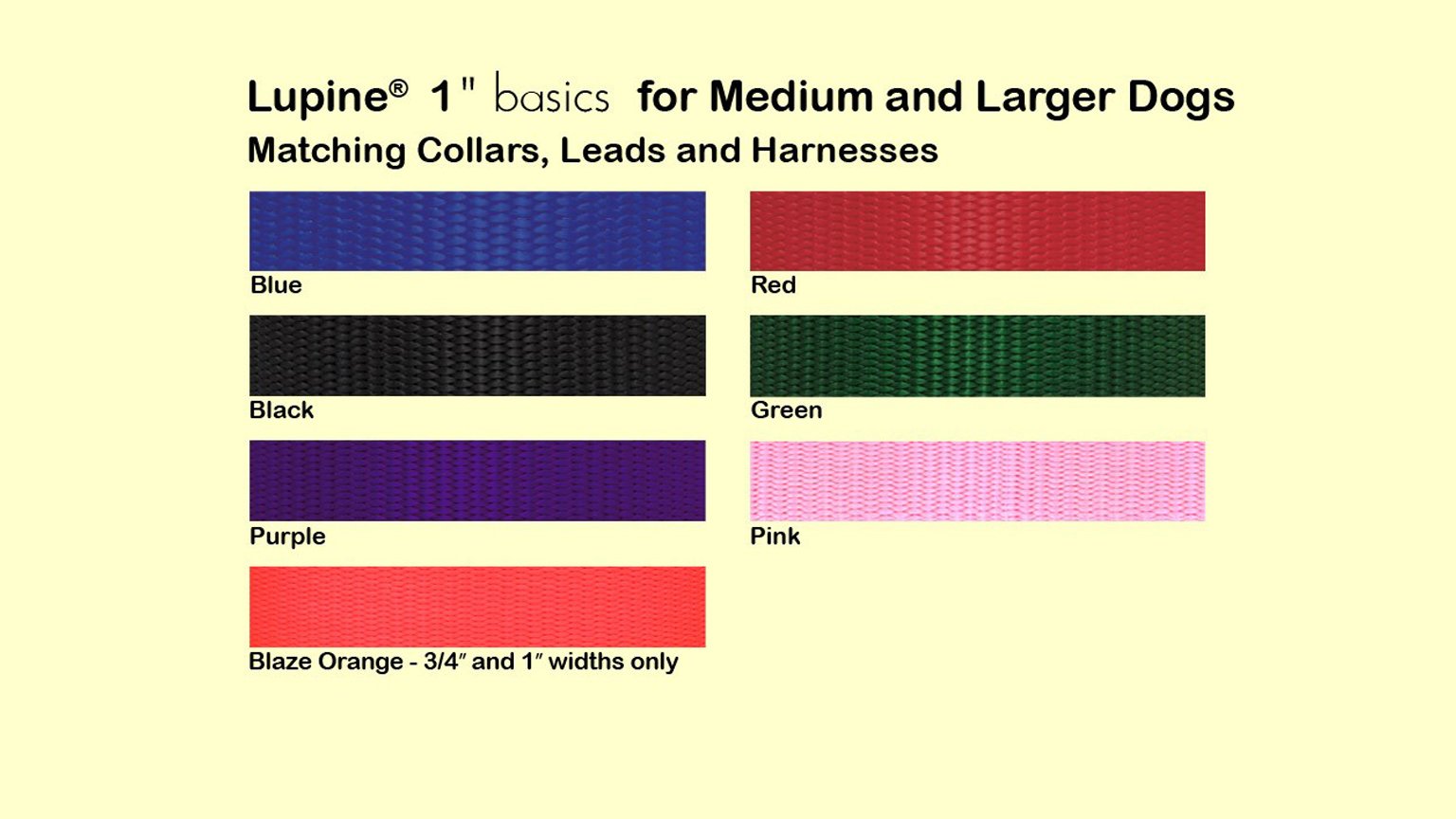 Lupinepet Basics 1' Blaze Orange 15-22' Martingale Collar For Medium And Larger Dogs