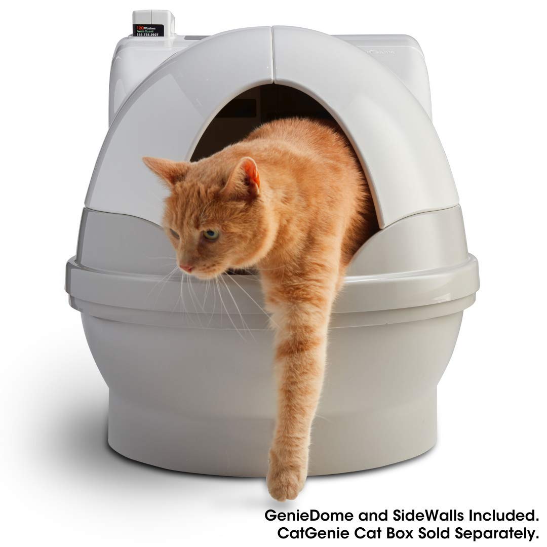 Catgenie Geniedome