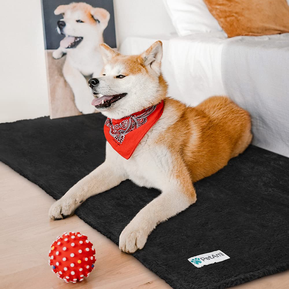 Petami Fluffy Dog Blanket For Small Medium Large Dogs, Sherpa Soft Warm Pet Fleece Throw For Indoor Cats, Fuzzy Plush Shaggy Blanket Furniture Protector Sofa Couch Bed, Black 60X80
