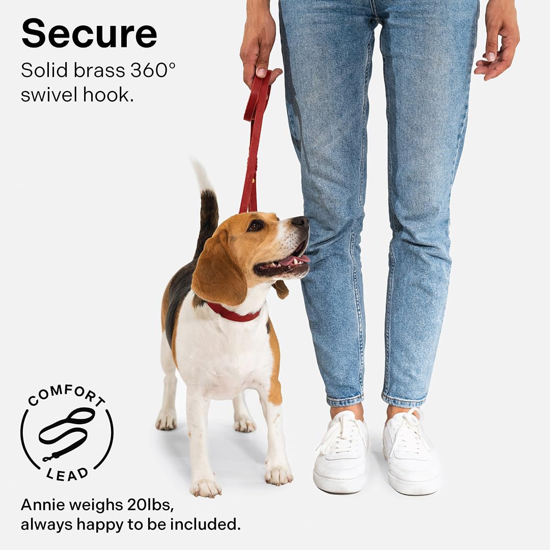 Scout Supply Classic Leather Dog Leash | Strong Heavy Duty Thick Full Grain Leather | Waterproof & Rust-Proof Brass Hardware (Re