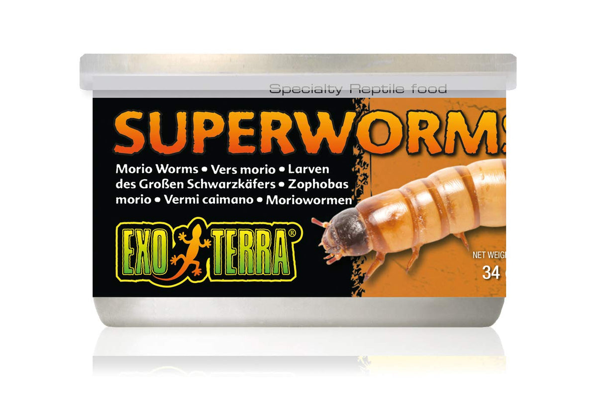 Exo Terra Canned Superworms Specialty Reptile Food 1.2 Oz