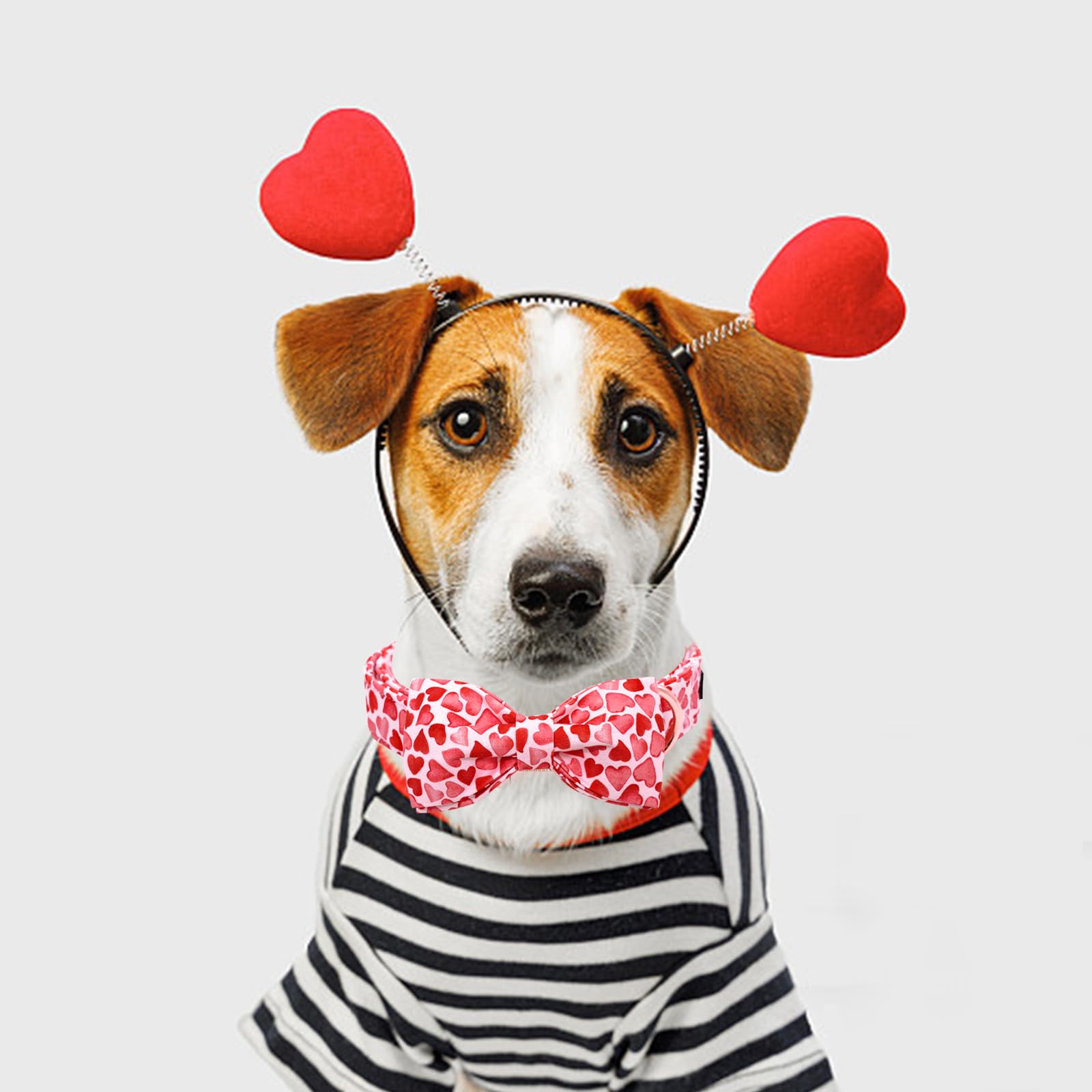 Lionheart Glory Dog Bow Collar Valentine'S Day Dog Collar For Large Dogs, Hearts Dog Collar With Bowtie Spring Dog Collar Pet Co