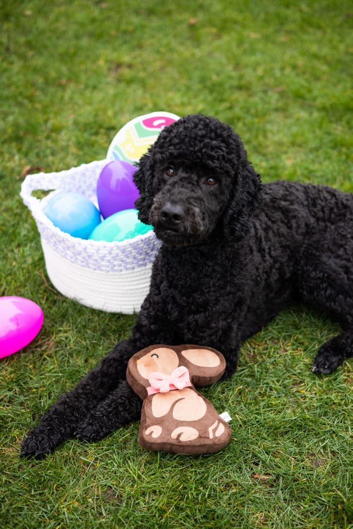 Pearhead Easter Chocolate Bunny Dog Toy, Plush Squeaker Pet Toy, Interactive Dog Toy, Soft Plush Dog Toy for Pet Owners