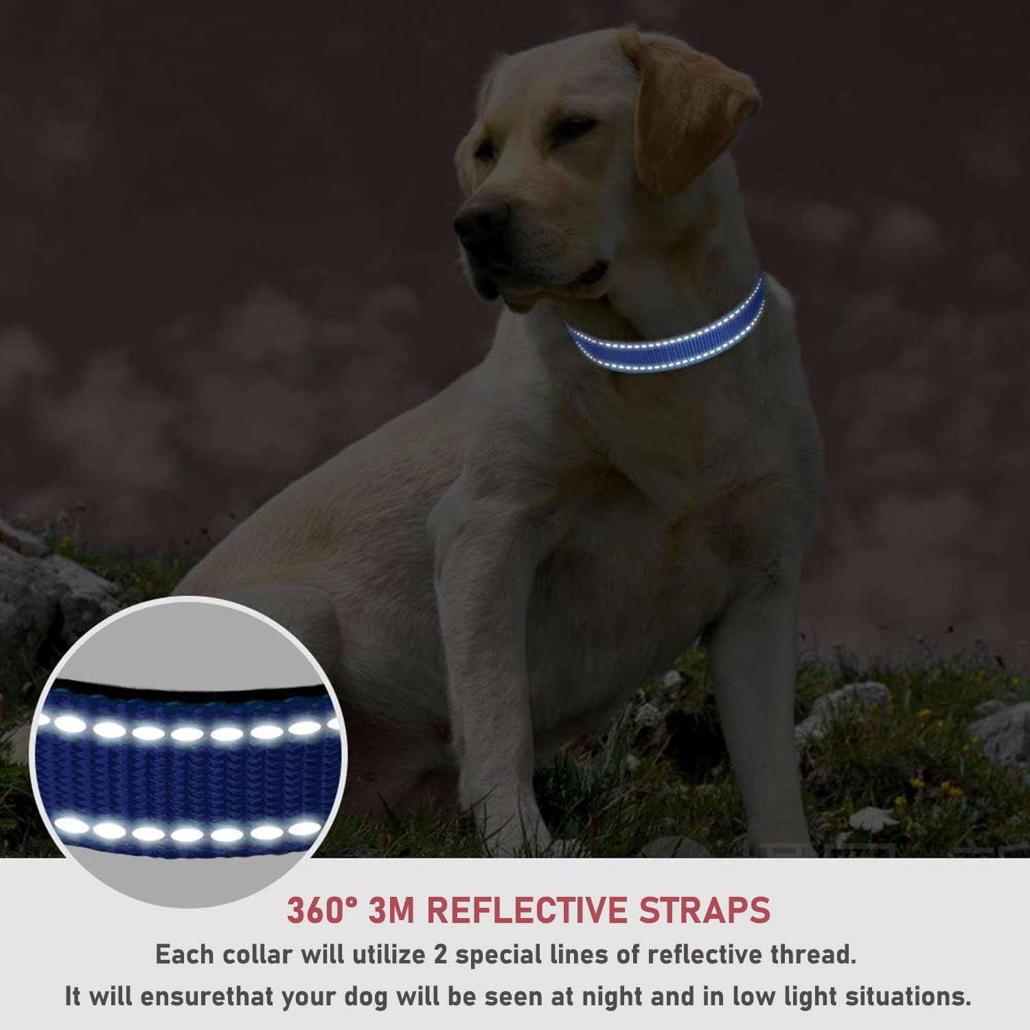 Reflective Dog Collar With Buckle Adjustable Safety Nylon Collars For Small Medium Large Dogs, Navy Blue Xs