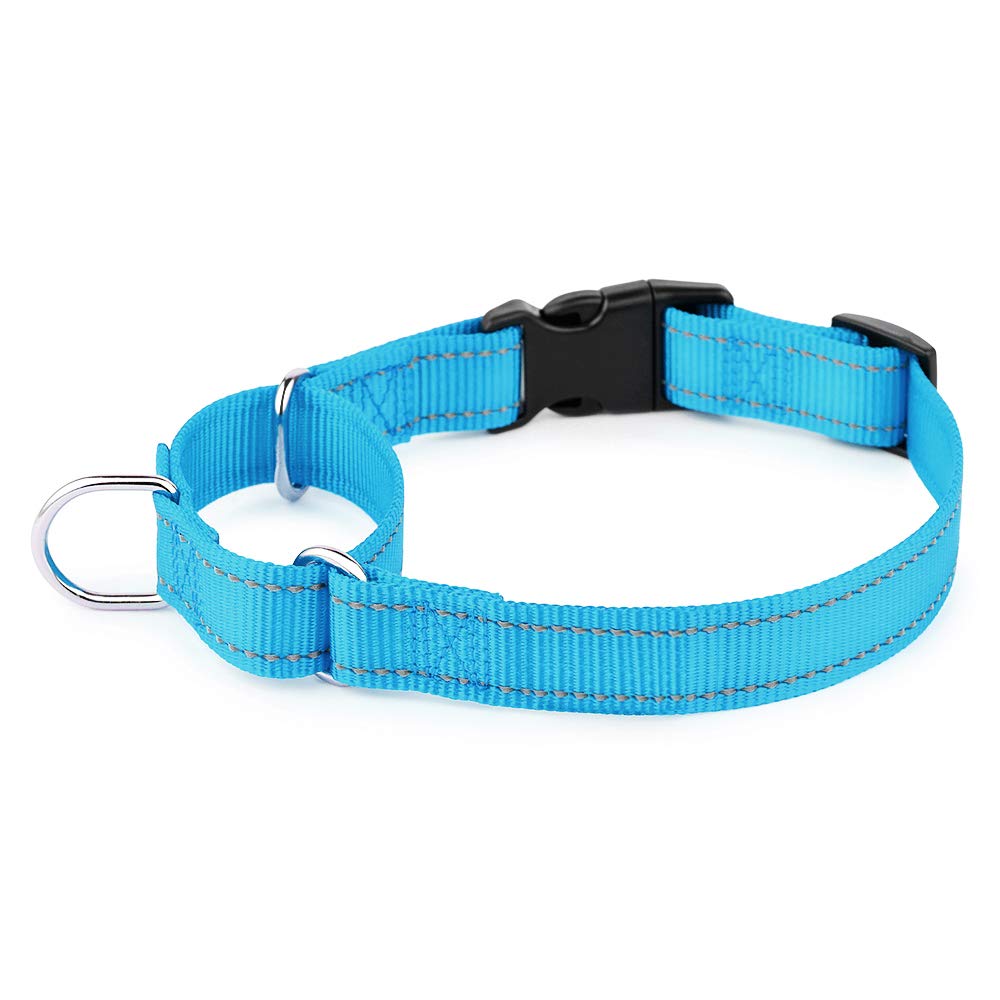 Plutus Pet Reflective Martingale Collar With Quick Snap Buckle,No Pull Dog Choker Collar For Small Medium Large Dogs,L,Blue
