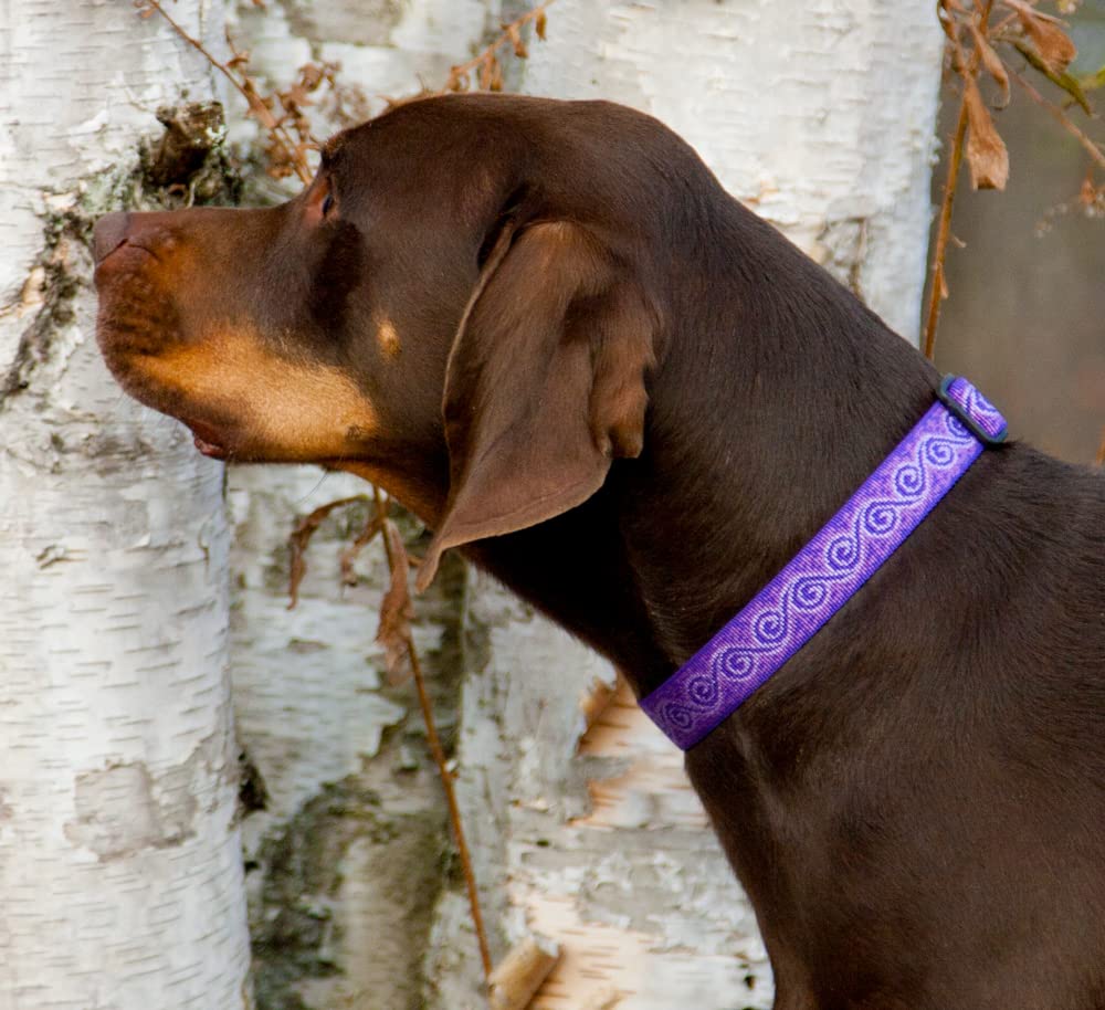 Lupinepet Originals 1' Jelly Roll 12-20' Adjustable Collar For Medium And Larger Dogs