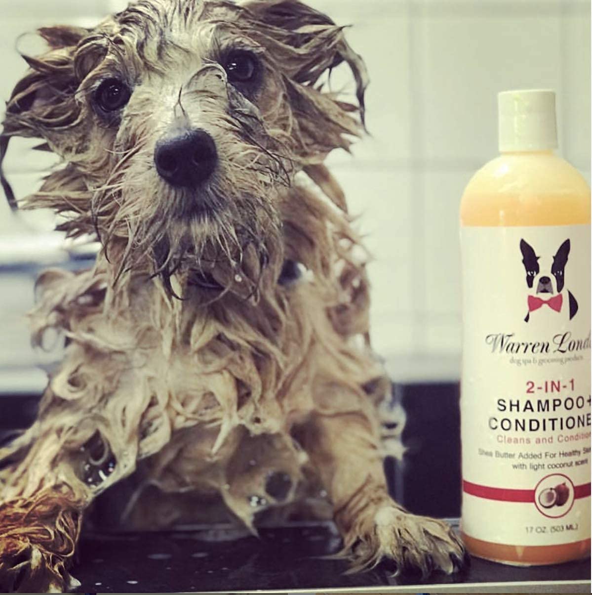 Warren London 2In1 Pet Shampoo And Conditioner For Dogs, Puppys, & Cats | Best Dog Shampoo And Conditioner For Dry Itchy Skin |