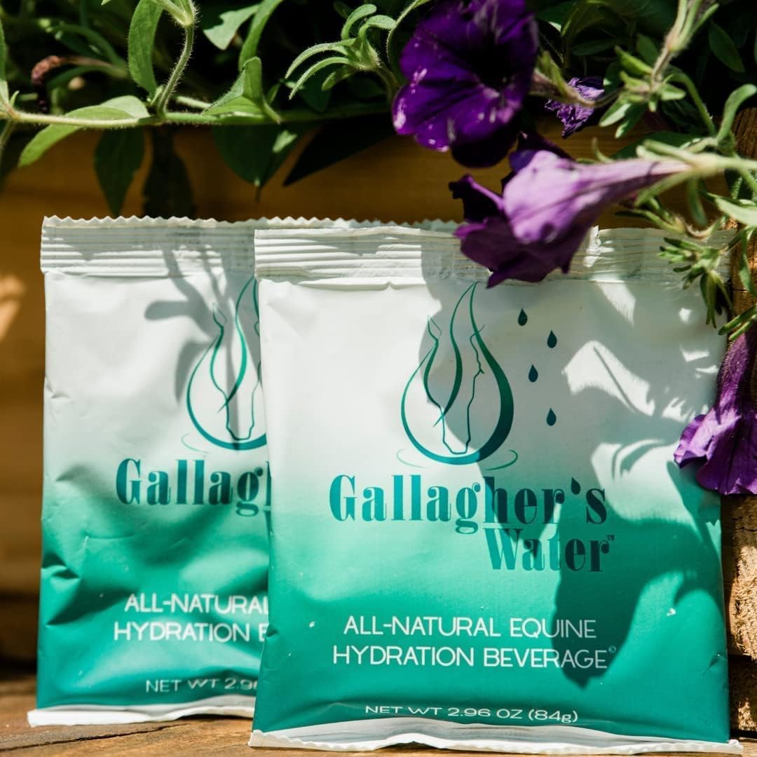 Gallaghers Water 12 Pack All-Natural Equine Hydration Treat - Enhancement Powder Mix Horse Drink Treat to Help Encourage to Dri