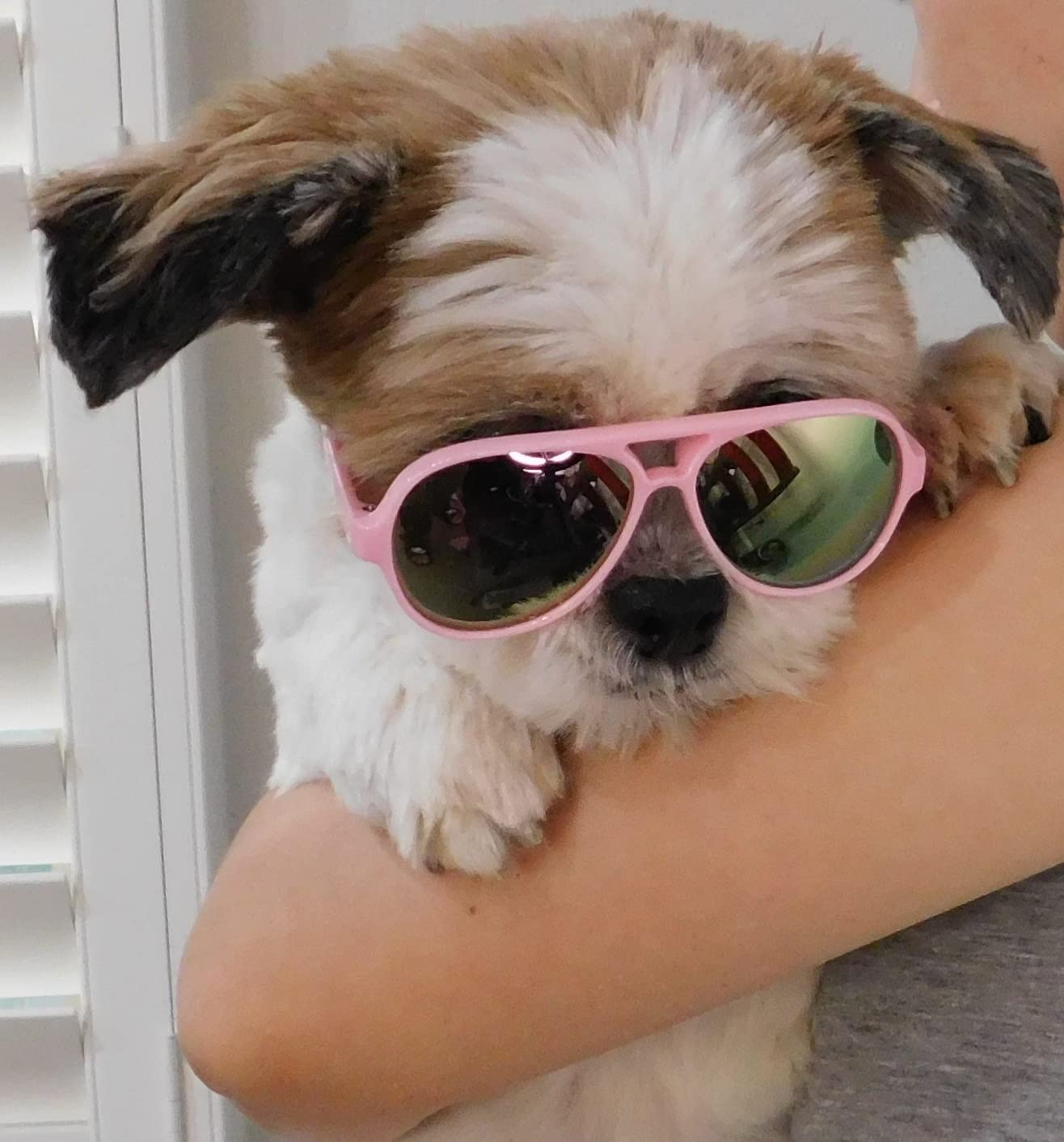 G029 Small Dog Breed Up To 15Lbs Cat Pet Aviator Sunglasses Glasses (Black)