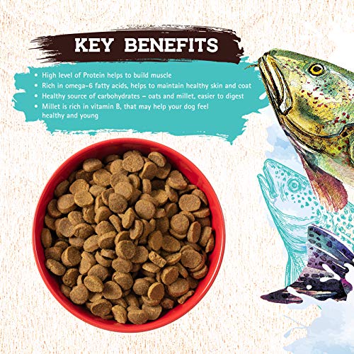 Inception Dry Dog Food Fish Recipe - Complete and Balanced Dog Food - Meat First Legume Free Dry Dog Food - 27 lb. Bag