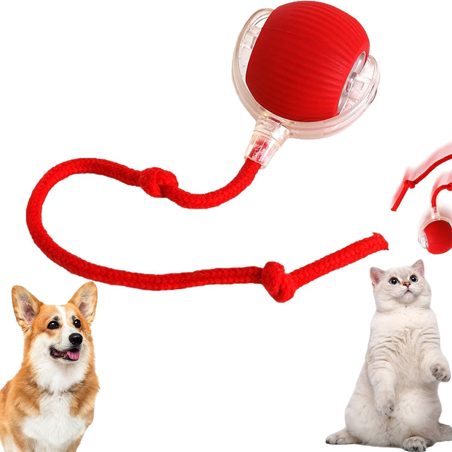 Kosen Goodness Mart Interactive Rolling Pet Ball Toy, Pack of 1