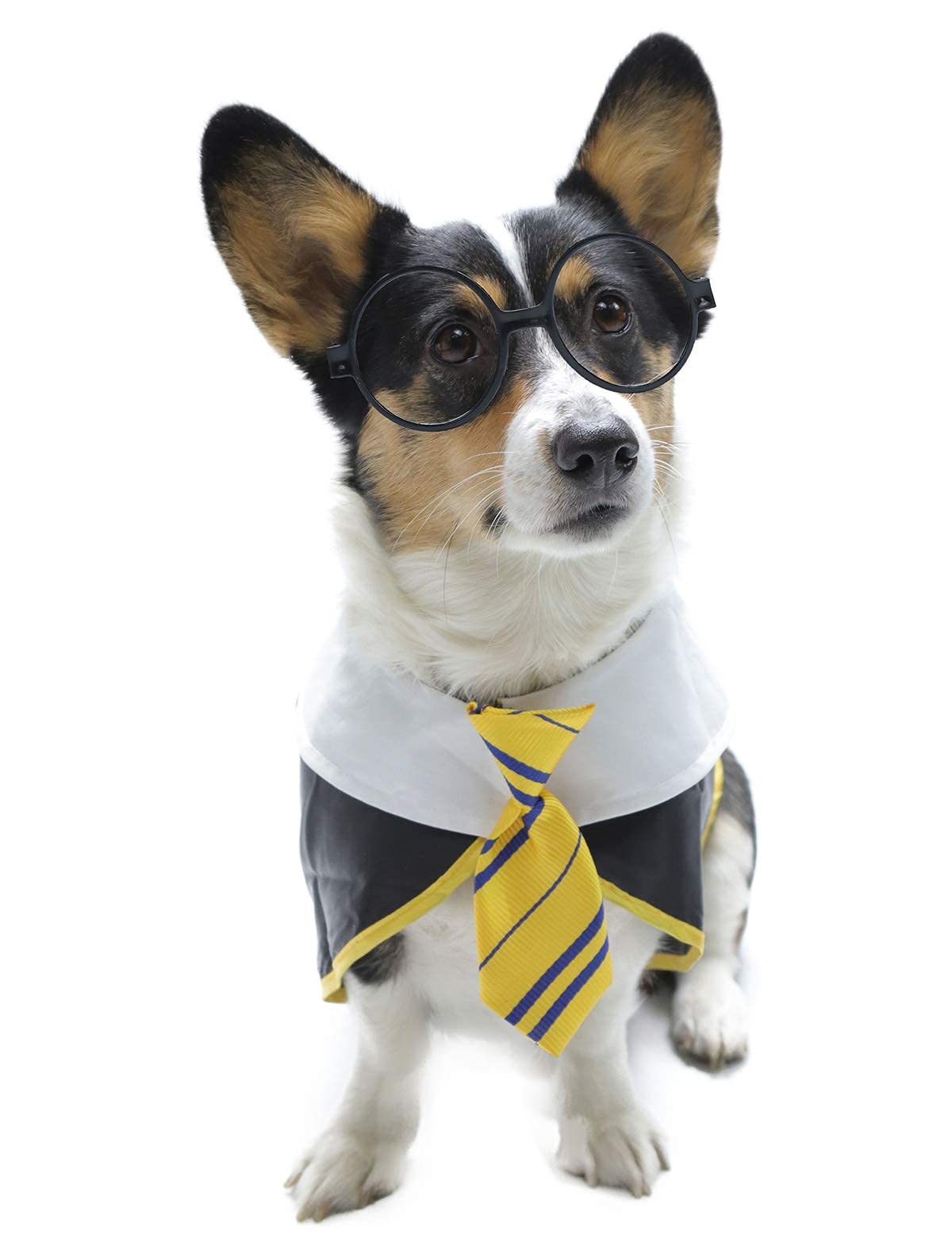 Impoosy Pet Dog Halloween Shirts Funny Cat Wizard Costume Pet Cute Apparel Soft Clothes With Glasses (Medium,Neck:14')