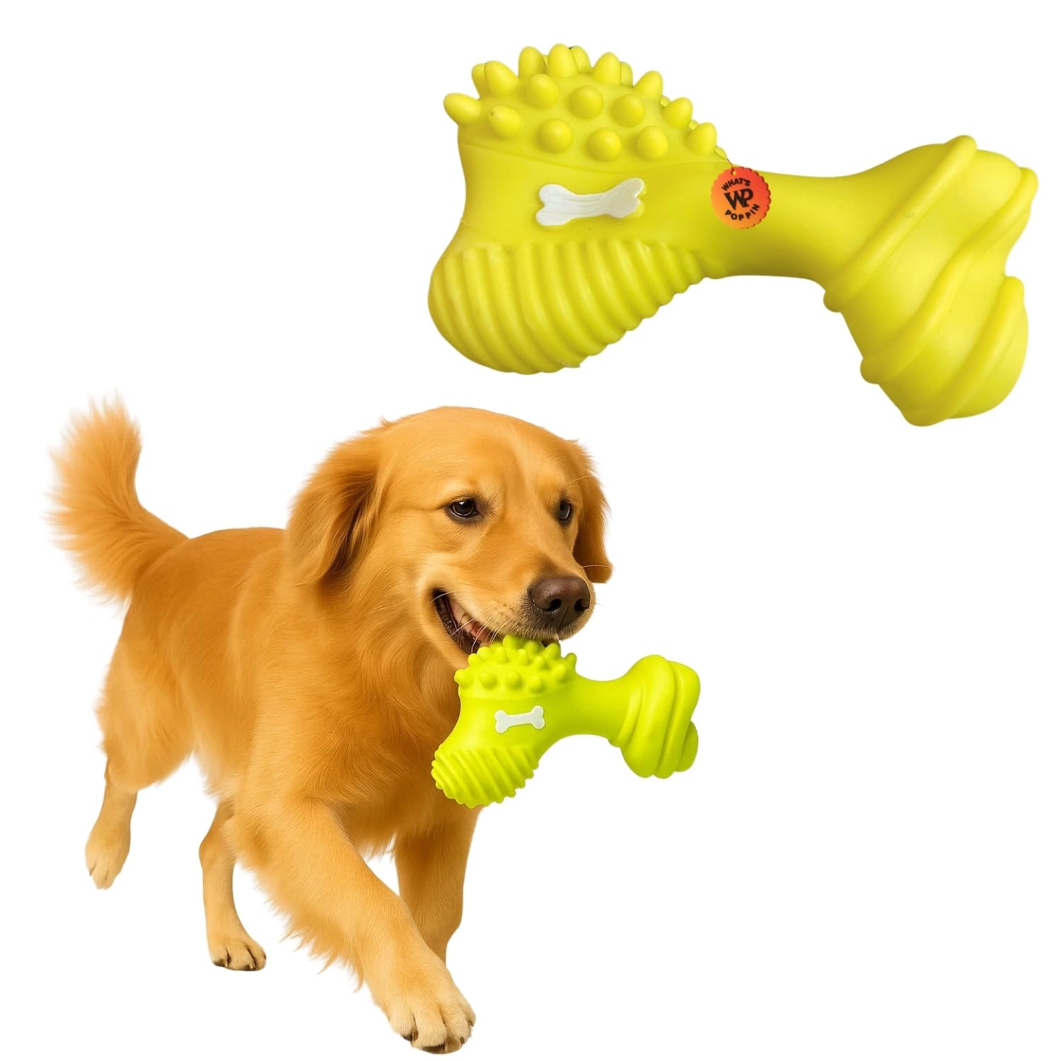 WhatS Poppin Big Bone Dog Toy Set | 3 Fun Designs With Squeakers For Interactive Play, Chewing & Fetch | Durable PetSafe Rubbe