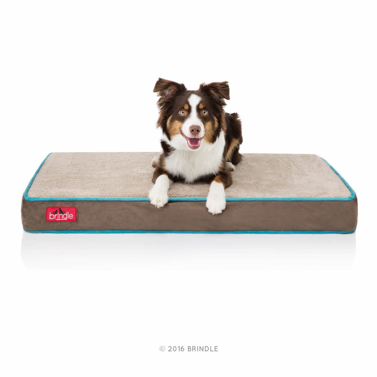 Brindle Waterproof Memory Foam Pet Bed - Removable And Washable Cover - 4 Inch Orthopedic Dog And Cat Bed - Fits Most Crates,Moc