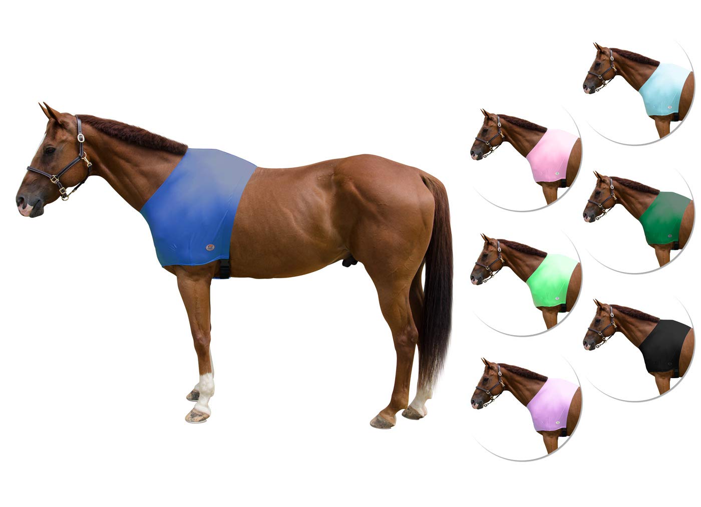 Derby Originals Lycra Stretch Horse Shoulder Guard