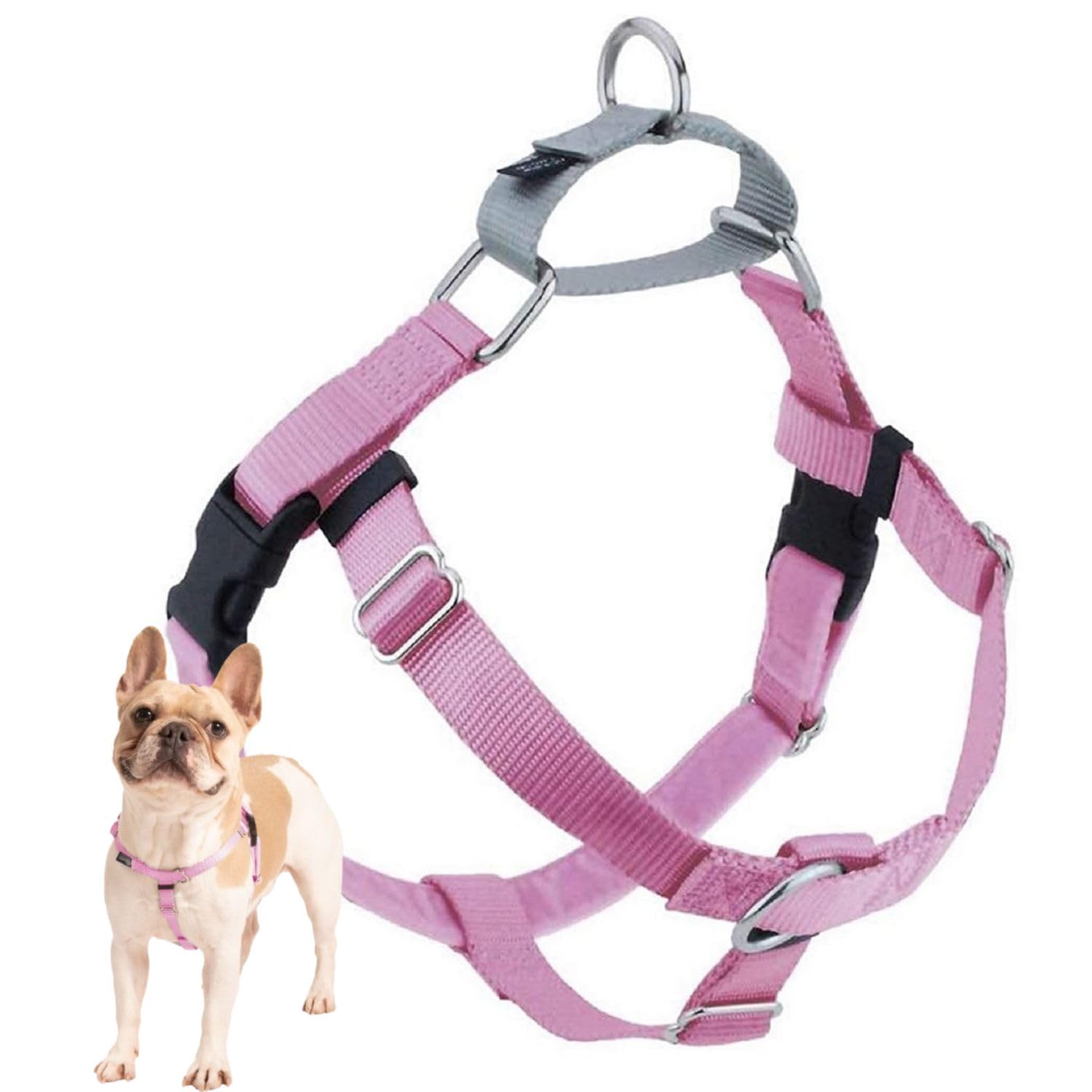 2 Hounds Design Freedom No Pull Dog Harness, Adjustable Harness, Easy Walking & Comfortable Control, Fits Small, Medium & Large Dogs, Solid Colors, Made In Usa, 5/8' Xs, Rose