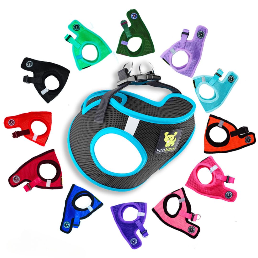 Ecobark Step In Dog Harness - Teacup Dog Harnesses For Xxxs, Xxs, Xs And Small Dog Breeds - Reflective - Adjustable Mini Body Halter Vest - Tiny Soft Mesh Toy Breed (Black And Teal, Xxxs)