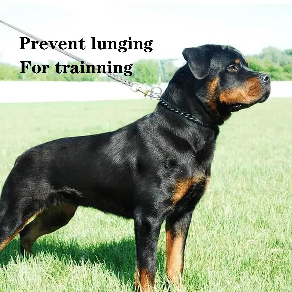 Chain Dog Collar For Large Dogs, Metal Slip Link Training Heavy Duty Dog Collar Martingale Puppy Collars For Small Medium Large