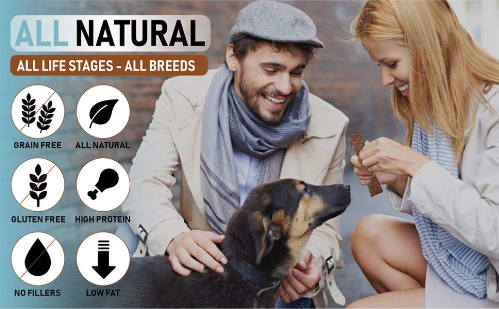 PET JERKY FACTORY Premium Dog Treats, Grain Free Beef & Banana, 5 oz, 100% Human Grade, USA Made