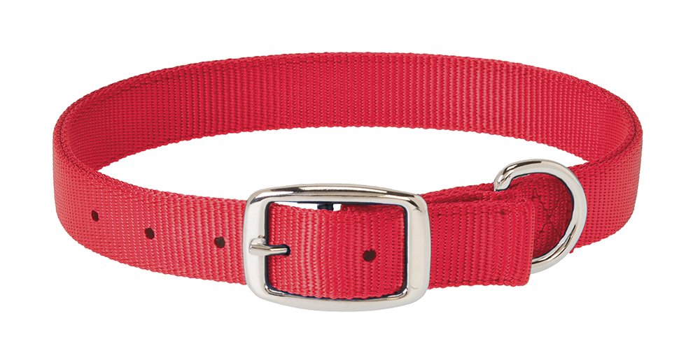 Weaver Leather Prism Classic Collar, 1 X 19-Inch, Red