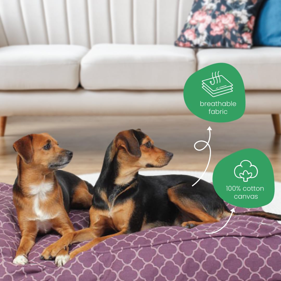 Molly Mutt Medium To Large Dog Bed Cover - Royals Print - Measures 27   X36   X5 - 100% Cotton - Durable - Breathable - Sustaina