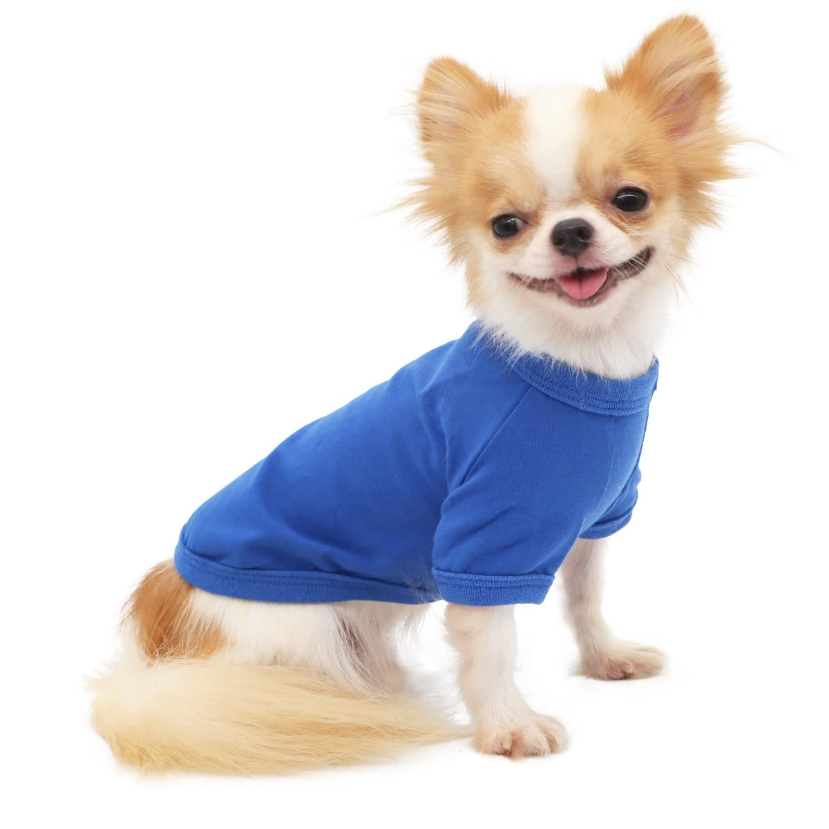 Lophipets 100% Cotton Dog Tee Shirt For Small Dogs Chihuahua Puppy Clothes-Blue/M