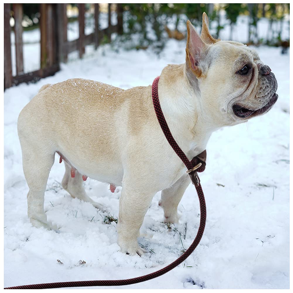 BTINESFUL 7FT Slip Lead Dog Leash, Strong Nylon Rope Leash, 1/4 & 1/2 inch Diam Dog Training Lead for Small Medium Large Dogs