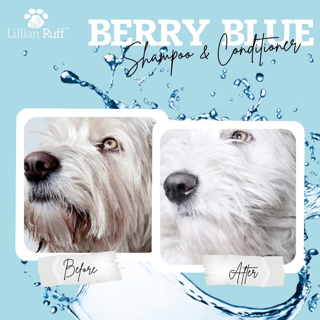 Lillian Ruff Berry Blue Brightening Face And Body Wash For Dogs - Blueberry Shampoo - Remove Tear Stains, Hydrate Dry Itchy Skin, Add Shine & Luster To Coats (Berry Blue Brilliance Bundle)