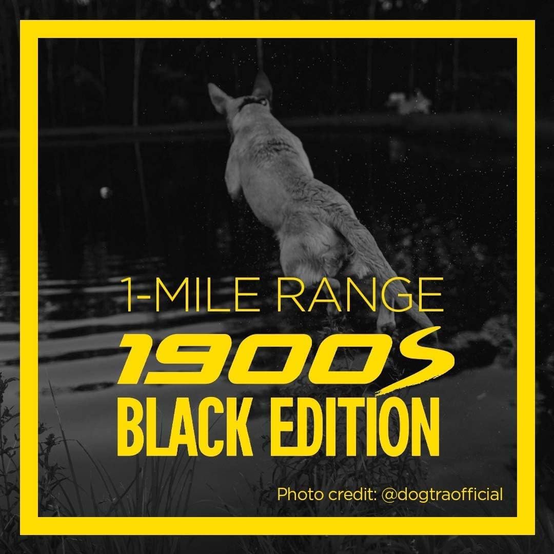 Dogtra 1900S Black Boost & Lock E-Collar Remote Dog Trainer 1-Mile Range Ergonomic Ipx9K Waterproof High-Output Matte Black