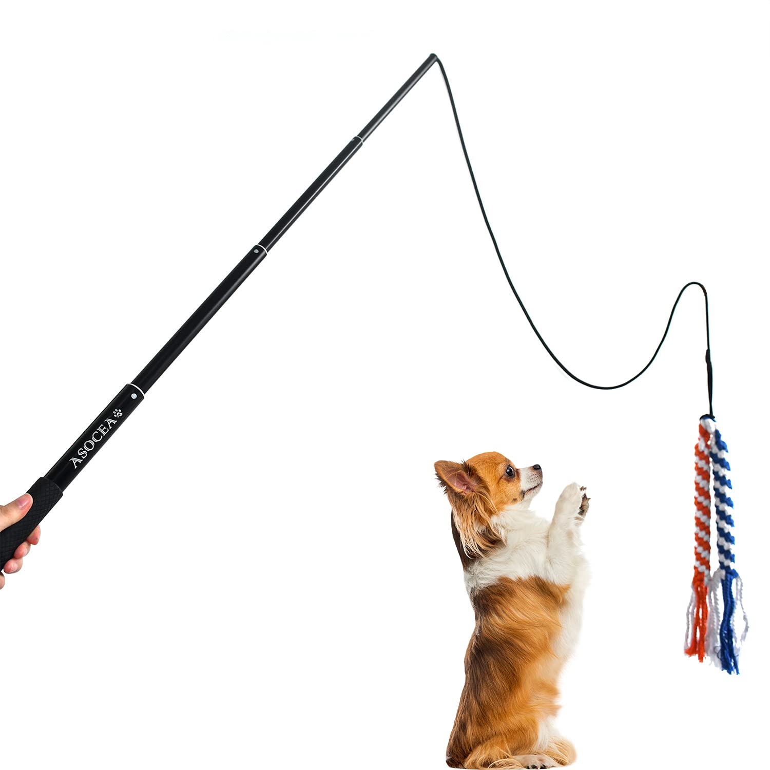 Asocea Dog Extendable Teaser Wand Pet Flirt Stick Pole Puppy Chasing Tail Interactive Toy For Small Medium Large Dogs Training Playing Exercise