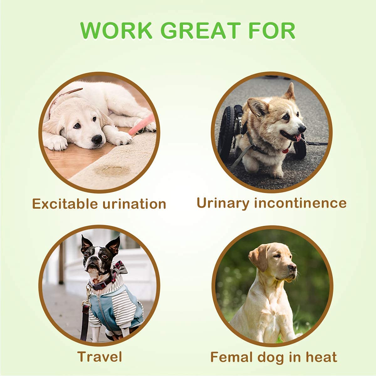 Pet Soft Dog Diapers Female - Disposable Puppy Diapers, Cat Diapers 36Pcs Xsmall