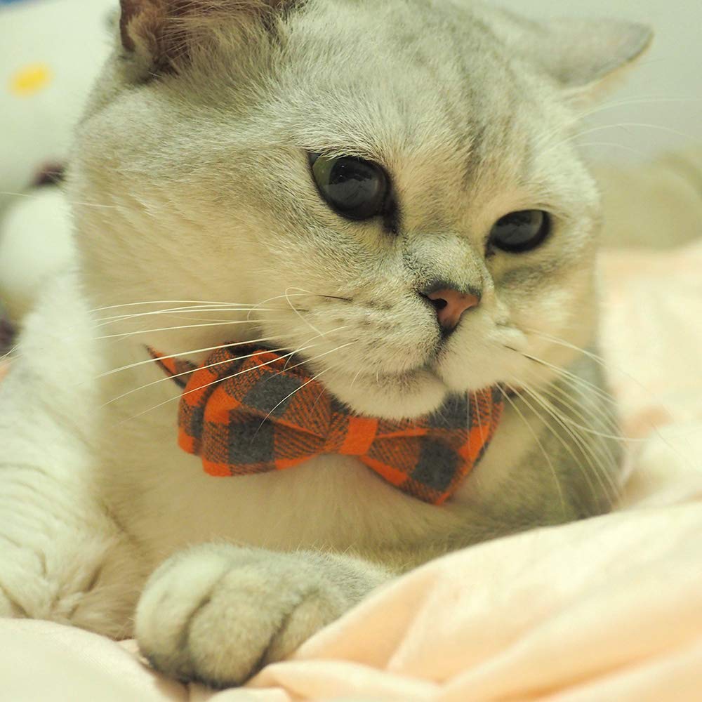 Cat Collars Breakaway With Bell And Bow Tie, Plaid Design Adjustable Safety Kitty Kitten Collar(6.8-10.8In) (Orange Plaid)